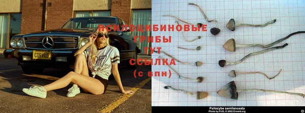 метамфетамин Зеленодольск